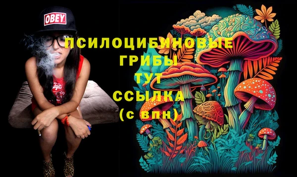 каннабис Магадан