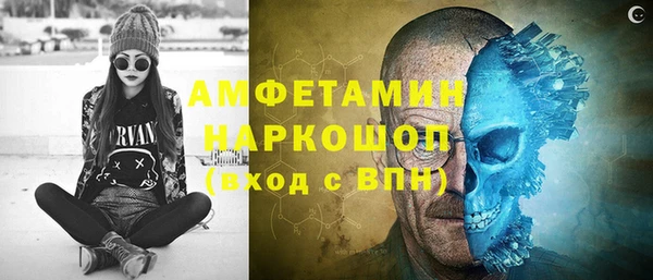 индика Володарск