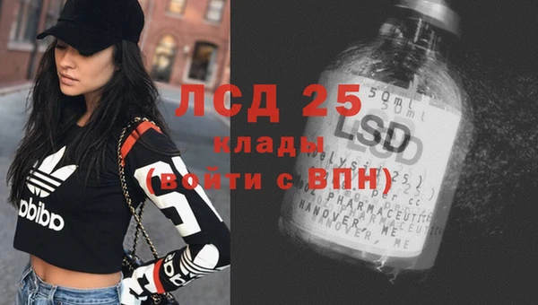 дживик Магас