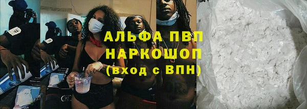 СК Семикаракорск