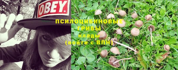 каннабис Магадан