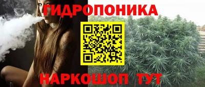 шишки Бузулук